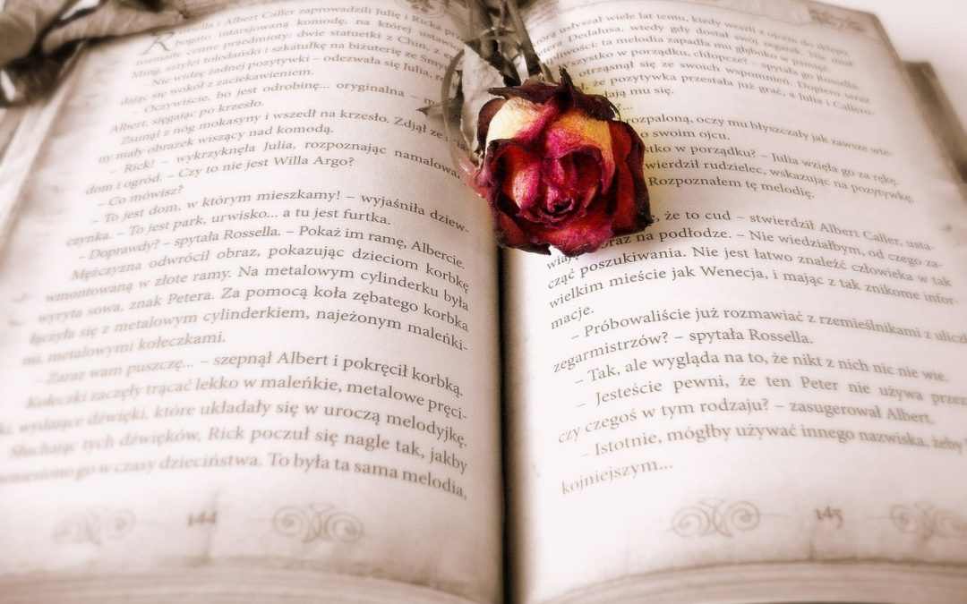 The Tale of The Tattered Rose